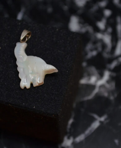 Skjell anheng dinosaur