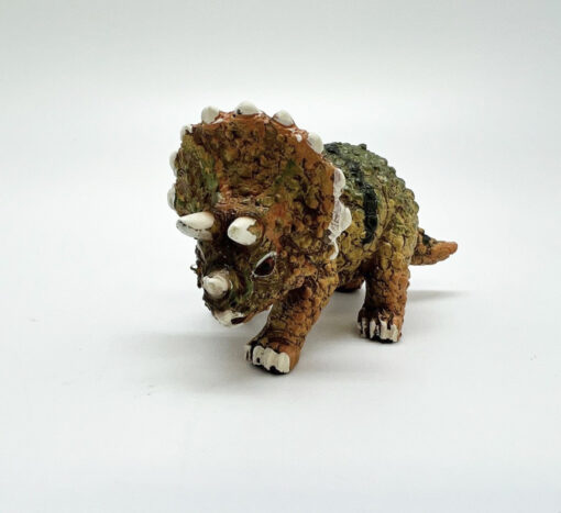 Triceratops s