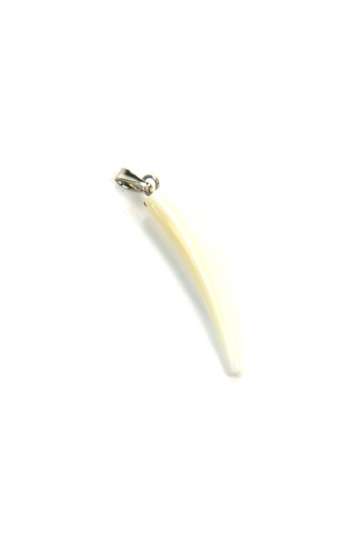 Skjell anheng horn
