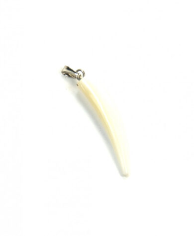 Skjell anheng horn