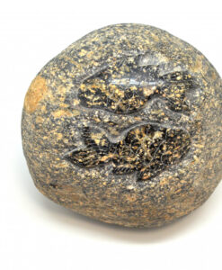 Stjernetegn fiskene i elvestein