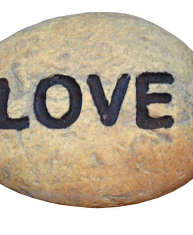 Elvestein love