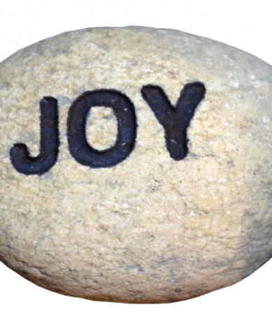 Elvestein joy