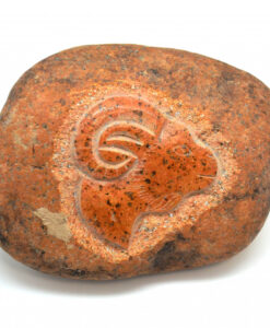 Stjernetegn steinbukken i elvestein