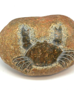 Stjernetegn krepsen i elvestein