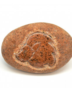 Stjernetegn løven i elvestein