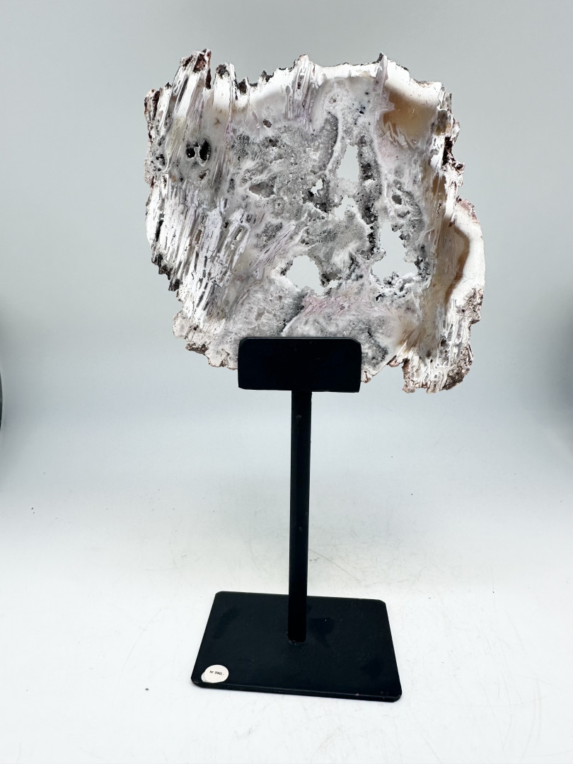 Lekker agatskive på høy fot.